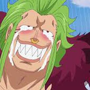 Photo One Piece