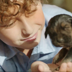 Photo Shepherd: The Story of a Jewish Dog