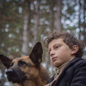 Photo Shepherd: The Story of a Jewish Dog