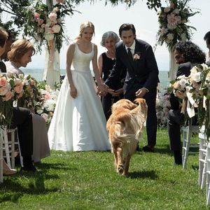 Photo Dans les yeux d'Enzo