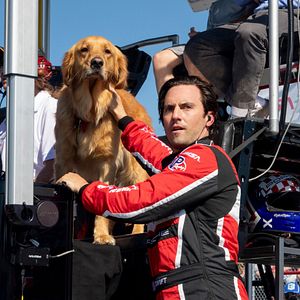 Photo Dans les yeux d'Enzo