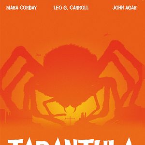 Photo Tarantula