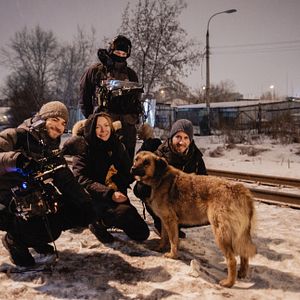 Photo Space Dogs