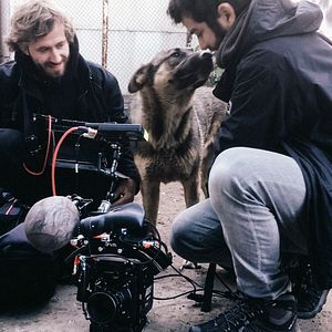 Photo Space Dogs