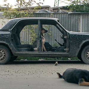 Photo Space Dogs