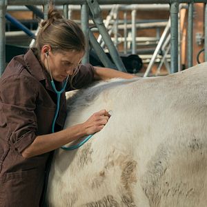 Photo Noémie Schmidt