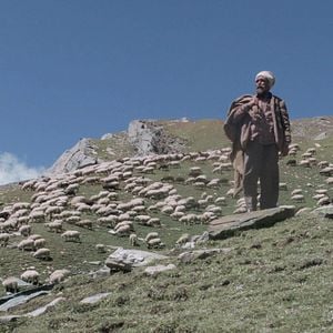 Photo The Gold-Laden Sheep & the Sacred Mountain