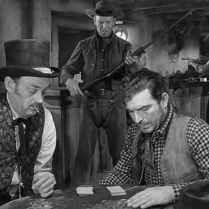 Photo Stephen McNally