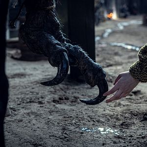 Photo The Witcher