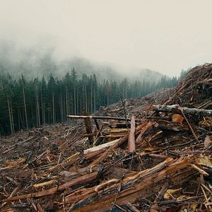 Photo Anthropocène – L’Epoque Humaine