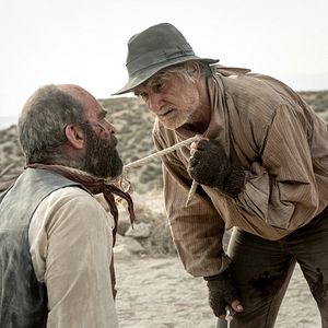 Photo L'échappée sauvage