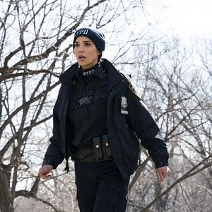 Photo Arielle Kebbel