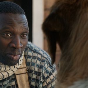 Photo L'Appel de la forêt