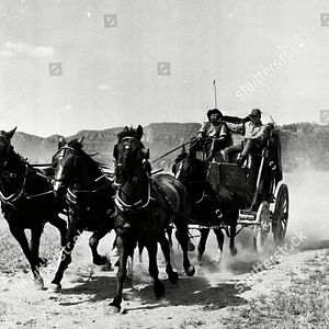 Photo Le Courrier du désert
