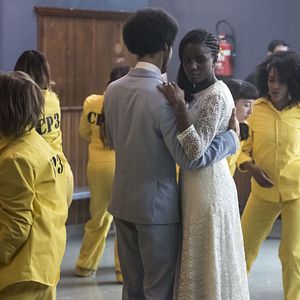 Photo Prise au Piège