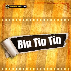 Photo Rin Tin Tin