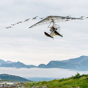 Photo Donne-moi des ailes