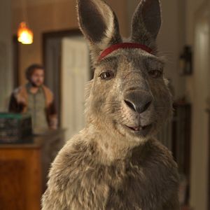 Photo The Kangaroo Chronicles