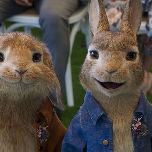 Photo Pierre Lapin 2