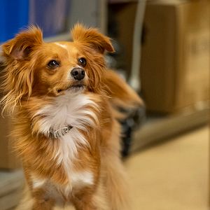 Photo Un ami aux petits soins