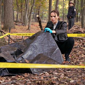 Photo Arielle Kebbel