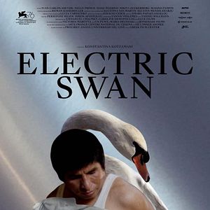 Photo Electric Swan