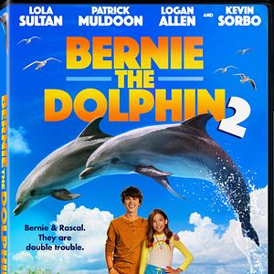 Photo Bernie le dauphin 2