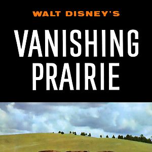 Photo La Grande Prairie