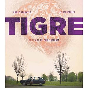 Photo Tigre