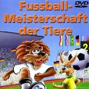 Photo Les Foot du stade