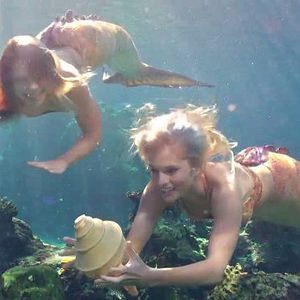 Photo Les sirènes de Mako