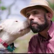 Photo Nos amis les chiens