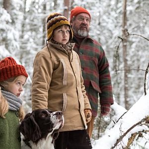 Photo Noël dans la forêt de la chouette