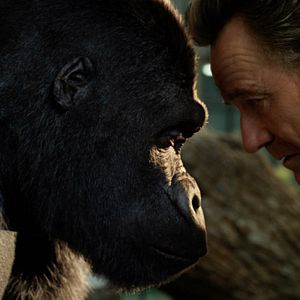 Photo Le Seul et unique Ivan