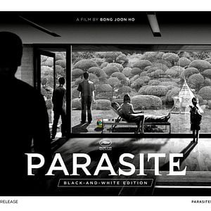 Photo Parasite