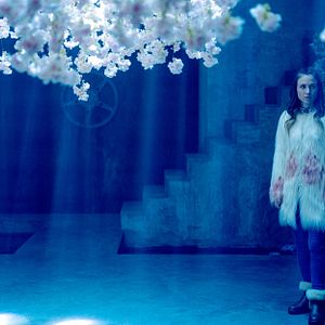 Photo Dominique Provost-Chalkley