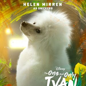 Photo Le Seul et unique Ivan