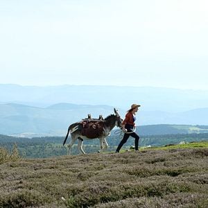 Antoinette dans les Cévennes - film 2020 - AlloCiné