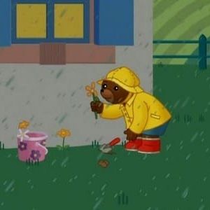 Photo Les Aventures de Petit Ours Brun