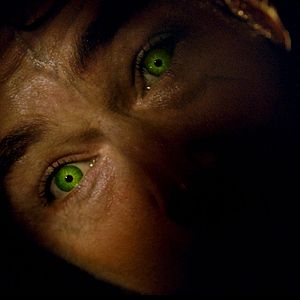 Photo L'Incroyable Hulk