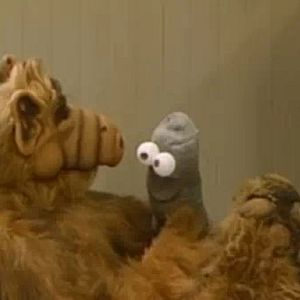 Photo ALF