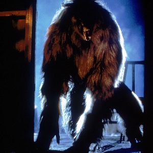 Photo La Malédiction du loup-garou