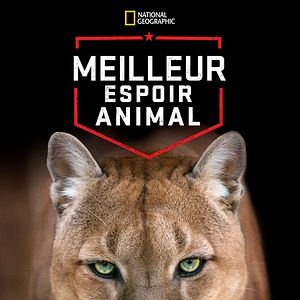 Photo Meilleur espoir animal
