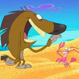 Photo Zig et Sharko