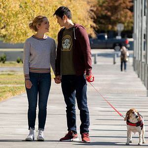 Photo Harry Shum Jr.