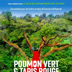 Photo Poumon vert et tapis rouge