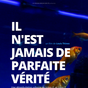 Photo Il n'est jamais de parfaite vérité