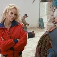 Photo Alerte à Malibu