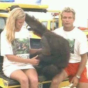 Photo Alerte à Malibu