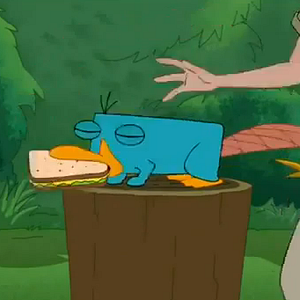 Photo Phineas et Ferb